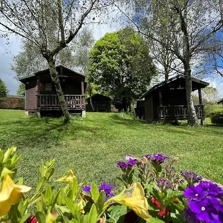 Chalet 3 Etoiles - Piscine - Ccafecf